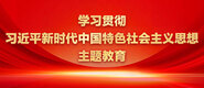 www啊啊啊艹逼学习贯彻习近平新时代中国特色社会主义思想主题教育_fororder_ad-371X160(2)